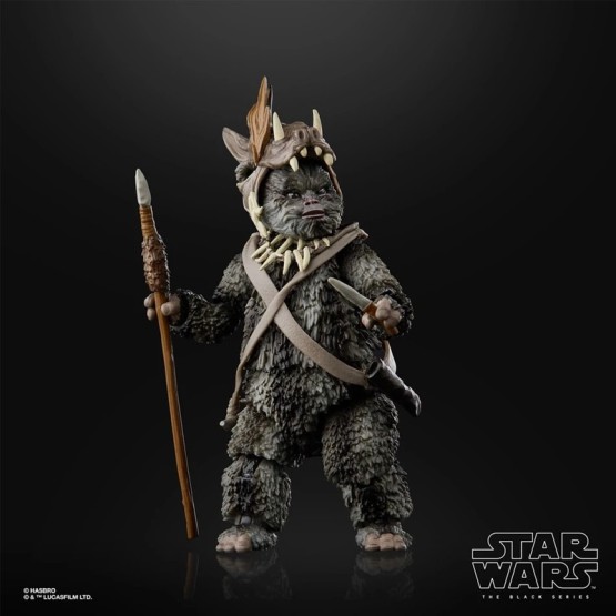 FIGURA STAR WARS THE BLACK SERIES TEEBO (EWOK) (E9361/E8908)- RETURN OF THE JEDI 02