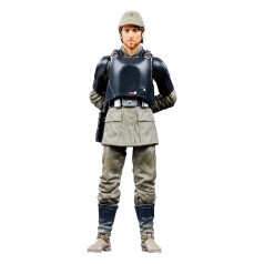 Cassian Andor (Aldhani Mission) The Black Series SW: Andor 01 figura 15 cm