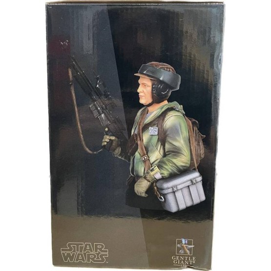 Endor Trooper SW: The Return of The Jedi Mini Busto 18 cm