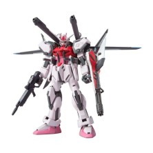 Strike Rogue + I.W.S.P. Gundam HG 1/144