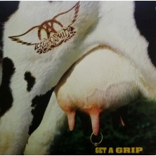 Aerosmith - Get A Grip (Vinilo 2LP)