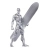Figura Silver Surfer 15 cm The Silver Surfer Marvel Legends